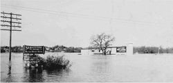 Cnopius Field east of Sebastopol under flood waters during the 1937 flood of the Laguna de Santa Rosa east of Sebastopol