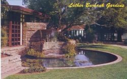 Luther Burbank Gardens showing a rock pool that was created in memory of Luther Burbank, ingenious plant wizard