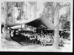 Thomas E. Barlow's berry pickers from San Francisco in dining tents at the Barlow Ranch, about 1900