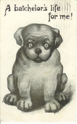 Greeting card with drawing of dog and handwritten note on back, postmarked Los Angeles, Cal Nov 26, 1910