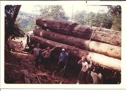 Waren Welsh's Reo Powerwagon truck loaded with redwood logs, early 1950s