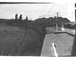 Last freight train to Monte Rio in Sebastopol 1937