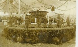 1914 Gravenstein Apple Show display of large fountain made of whole and dried apples
