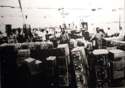 Interior of an unidentified apple packinghouse, about 1920