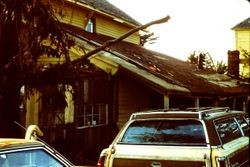 Cenazzi Ranch House on Coleman Valley Road between Bodega Bay and Occidental, April 1983