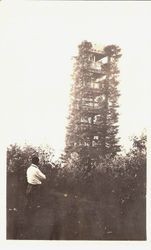 Camp Meeker Living Tower with man in foreground with back to camera looking at tower