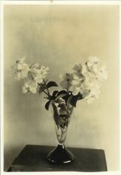 Single petal roses "AA-11" in a glass vase