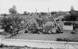 Grave site in Sebastopol Odd Fellows Cemetery (today's Sebastopol Memorial Lawn)