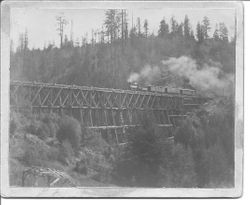 Brown Canyon Trestle built 1876--Big trestle on north Pacific coast near Occidental