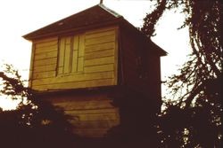 Cenazzi Ranch House water tower on Coleman Valley Road between Bodega Bay and Occidental, April 1983