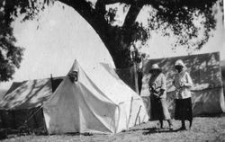 Walter's Hop Ranch on Westside Road near Healdsburg, California, about 1918