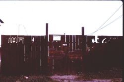 Gate and fence behind Green Fingers shop in Sebastopol, California, 1977