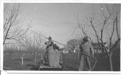 Two workers applying dormant spray to cherry trees on the farm of William and Leona Rosebrook in Sebastopol, about 1920