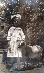 Alvina Amelia Smith Dohm Garceau with a goat on the T. R. Smith ranch west of Sebastopol about 1916