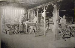 Group of men and women at work at the Andy Frei Apple dryer in 1909 Sebastopol/Graton