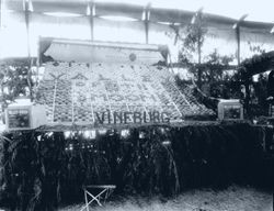 Gravenstein Apple Show, about 1930, showing the apple display of Vineburg and Valley of the Moon brand