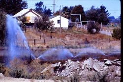 Cannery waste water sprinklers on the Jack Dei Ranch just north of Analy High School football field and Eddy Lane, Sebastopol, California, about 1970