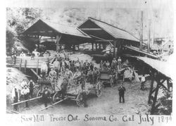 Logging workers standing in from of Berry's Sawmill at Freezeout, July 1894