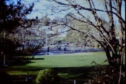 Sebastopol's Ives Park, about 1970