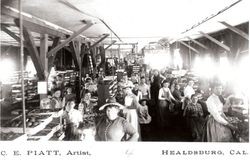 Workers and apples in an unidentified fruit packinghouse in Healdsburg California, 1880s