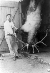 Clarence Pete, manager of the Pleasant Hill Dryer with caribou