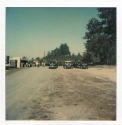 Vintage cars visit the Hallberg Apple Farm roadside stand, October, 1982