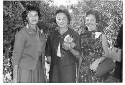 Oscar Hallberg's daughter