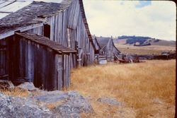 O'Farrell Ranch in Freestone, August 1979