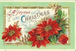 Christmas message with poinsettia