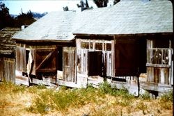 Old chicken ranch in Petaluma, 1976