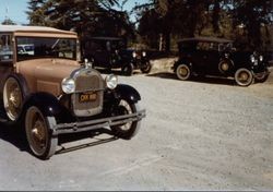 Vintage cars visit the Hallberg Apple Farm roadside stand, October, 1982