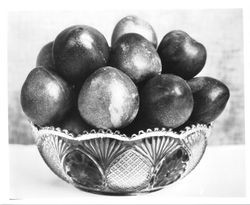 Glass bowl with Burbank K-22 "Elephant Heart" plum, August 1929