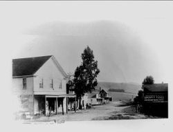 J. McCaughey General Store and Sperry's Flour building in Bodega, 1890s