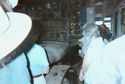 Interior of garage w/ car tags & car at George H. Smith's Georgetown near Sebastopol, California, 1997