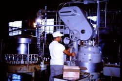 Unidentified worker operating a can seamier on a can line in the Sebastopol Co-op cannery