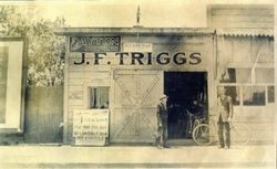 J. F. Triggs outside the J. F. Triggs bicycle shop at 238 South Main Street Sebastopol