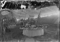 Gravenstein Apple Show exhibit, about 1915 in Sebastopol, showing various displays under the tent at the Apple Fair