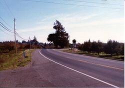 Hallberg Apple Farm roadside stand sign along Gravenstein Highway North (Highway 116), Sebastopol, California, 1979