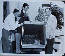 Sebastopol Lions Club members Ray Mariola, Phil Wetch, Henry Martin and Joe Johnson standing around the Lions Club pig in a box (Sebastopol Lions Club scrapbook photo)