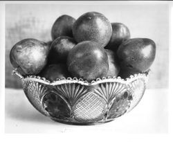 Glass bowl with Burbank K-22 "Elephant Heart" plum, August 1929