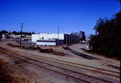 View northwest toward Petaluma Avenue along P&SR tracks with spur line behind Frizelle-Enos building, 1970