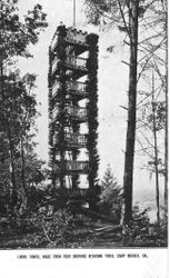 Living tower made from four growing redwood trees, Camp Meeker, Cal