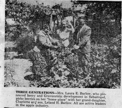 Three generations of Barlows--Mrs. Laura E. Barlow, left, who pioneered berry and Gravenstein development in Sebastopol, her granddaughter Charlotte Barlow and her son Leland H. (Warren Leland) Barlow