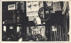 J. F. Triggs shop at 214 South Main Street, Sebastopol, taken from the front door looking through the gate