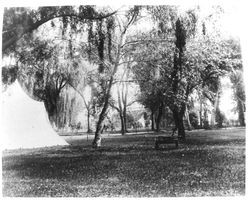 Jasper O'Farrell's property in Freestone, California, with house in background