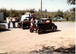 Vintage cars visit the Hallberg Apple Farm roadside stand, October, 1982