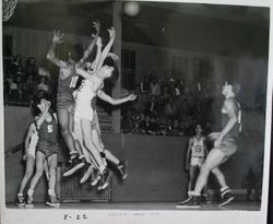 Analy High School Tigers basketball 1949--Analy vs Vallejo at Analy