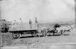 Riddells in their wagon, about 1903 in the Vine Hill area