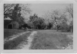 Burbank's Gold Ridge Experiment Farm--south face with barn, spring 1953