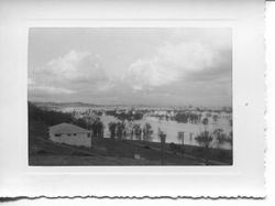 1951 floodwaters cover the Laguna de Santa Rosa channel and pasturelands near Sebastopol